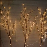 Dirije Branch Pye bwa Limen